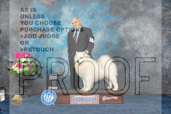 Samoyed #19 Sat SD NGC Judge Donnelle RichardsMJP_5748_HOUSTON_2023_HR3