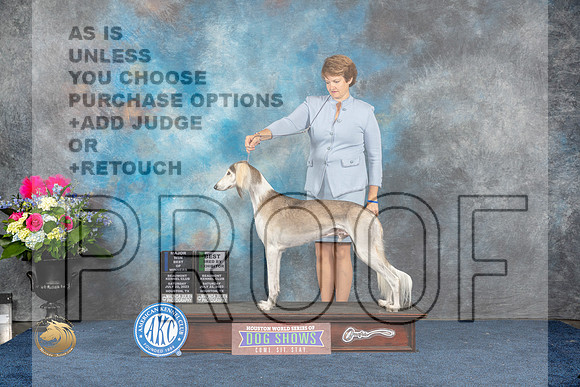 Saluki #9 Sat BOW BBB MAJ Judge Ray Filburn JrMJP_5577_HOUSTON_2023_HR3