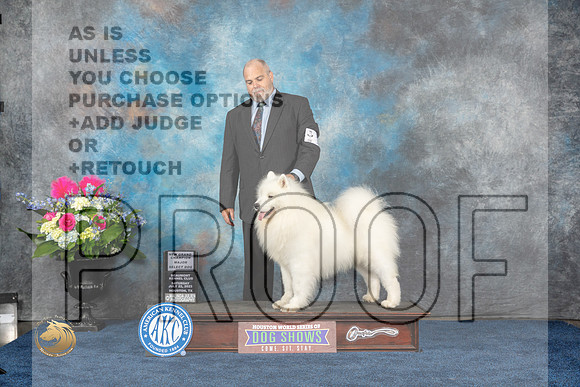 Samoyed #19 Sat SD NGC Judge Donnelle RichardsMJP_5755_HOUSTON_2023_HR3