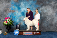 Samoyed #23 Sat WD MAJ Judge Donnelle Richards