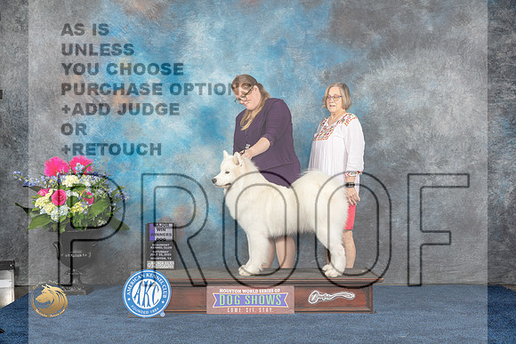 Samoyed #23 Sat WD MAJ Judge Donnelle RichardsMJP_5746_HOUSTON_2023_HR3