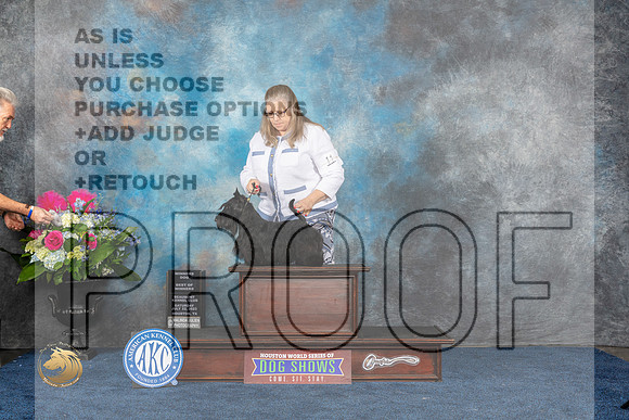 Scottish Terrier #11 Sat BW WD Judge Patricia TrotterMJP_5976_HOUSTON_2023_HR3