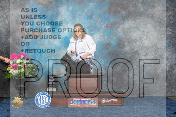 Scottish Terrier #11 Sat BW WD Judge Patricia TrotterMJP_5977_HOUSTON_2023_HR3