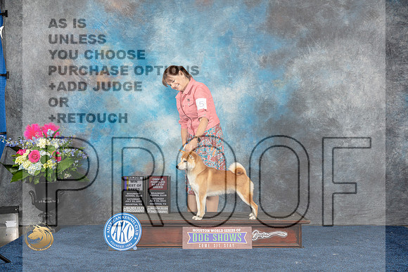 Shiba Inu #5 Sat BOB MAJ Judge Ken LevisonMJP_5653_HOUSTON_2023_HR3