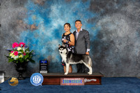 Siberian Husky #5 Sat BOV Judge Joan Liebes