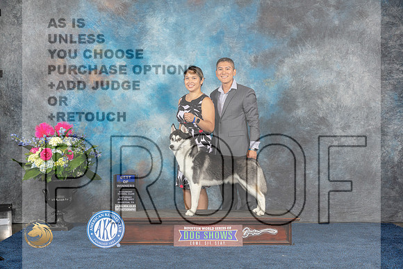 Siberian Husky #5 Sat BOV Judge Joan LiebesMJP_5878_HOUSTON_2023_HR3