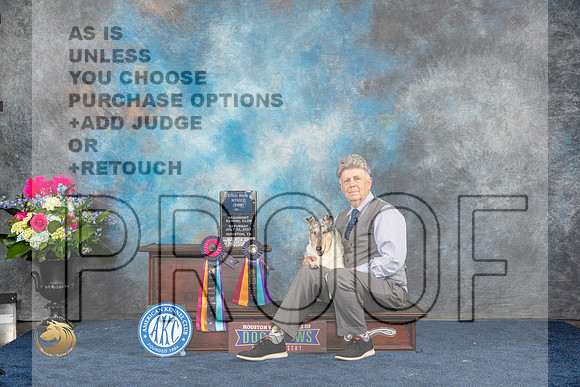 Smooth Collie #? Sat New Scent Work Title Judge ?MJP_5702_HOUSTON_2023_HR3