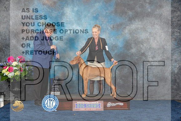Vizsla #27 Sat BOW MAJ Judge Charles OlvisMJP_5297_HOUSTON_2023_HR3