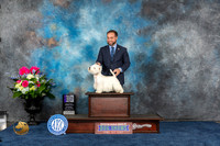 West Highland White Terrier #21 Sat WD NC MAJ Judge Cheryl Paterson