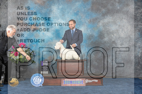 West Highland White Terrier #21 Sat WD NC MAJ Judge Cheryl PatersonMJP_5864_HOUSTON_2023_HR3