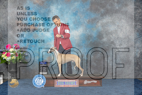 Whippet #9 Sat BOW Judge Cheryl PatersonMJP_5271_HOUSTON_2023_HR3