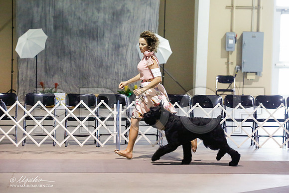 _HR_9275-SAJul14-HR3