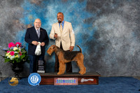 Airedale #9 Sat OHG4 Judge Ray Filburn Jr