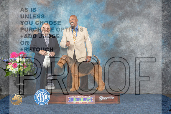 Airedale #9 Sat OHG4 Judge Ray Filburn JrMJP_6247_HOUSTON_2023_HR3