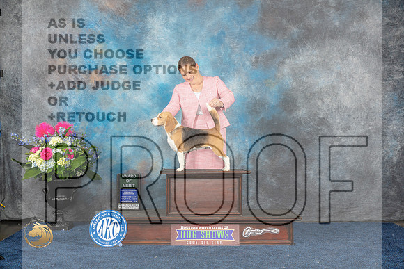 Beagle 15 #20 Wed AOM Judge Judith BrownMJP_6530_HOUSTON_2023_HR3