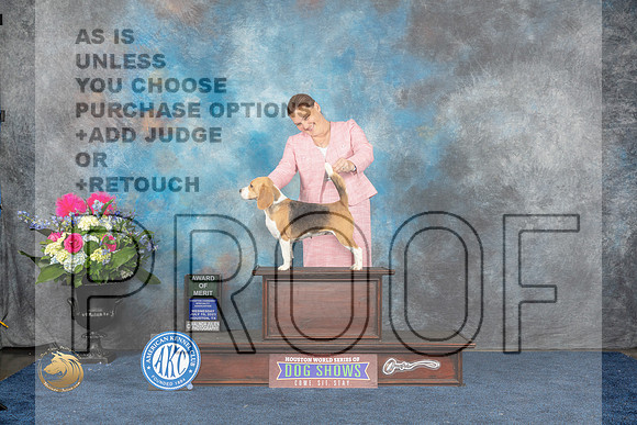 Beagle 15 #20 Wed AOM Judge Judith BrownMJP_6534_HOUSTON_2023_HR3