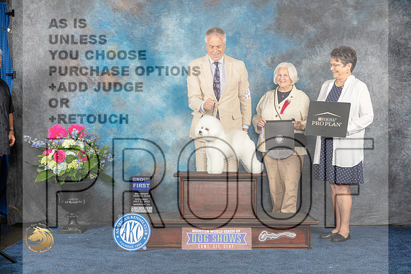Bichon Frise #15 Sat G1 Judge Anne GallantMJP_6361_HOUSTON_2023_HR3