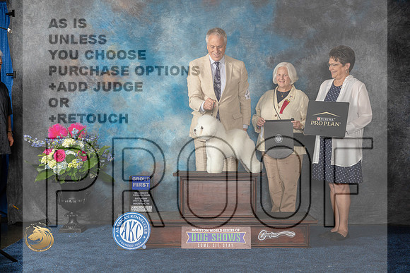 Bichon Frise #15 Sat G1 Judge Anne GallantMJP_6362_HOUSTON_2023_HR3