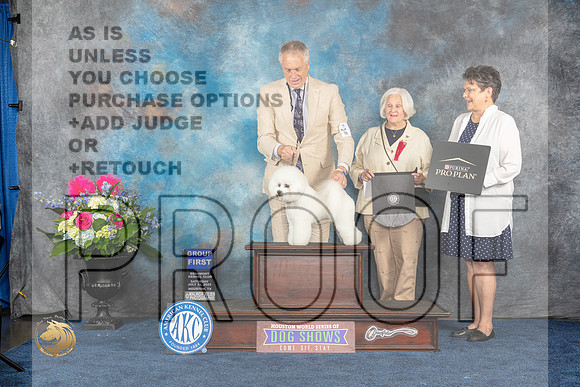 Bichon Frise #15 Sat G1 Judge Anne GallantMJP_6363_HOUSTON_2023_HR3