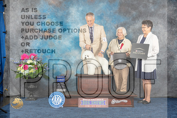 Bichon Frise #15 Sat G1 Judge Anne GallantMJP_6364_HOUSTON_2023_HR3