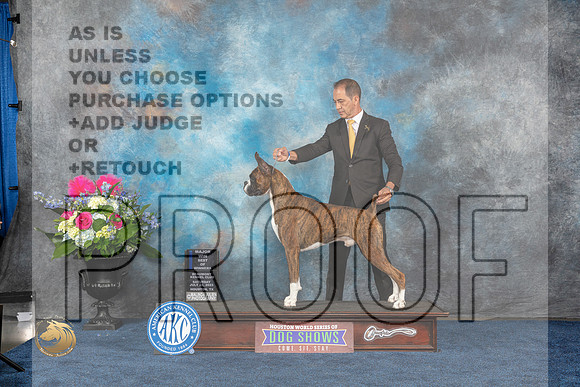 Boxer #7 Sat BOW Judge Donnell RichardsMJP_6338_HOUSTON_2023_HR3
