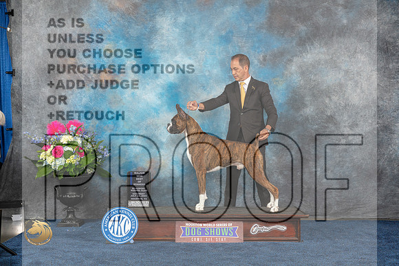 Boxer #7 Sat BOW Judge Donnell RichardsMJP_6342_HOUSTON_2023_HR3