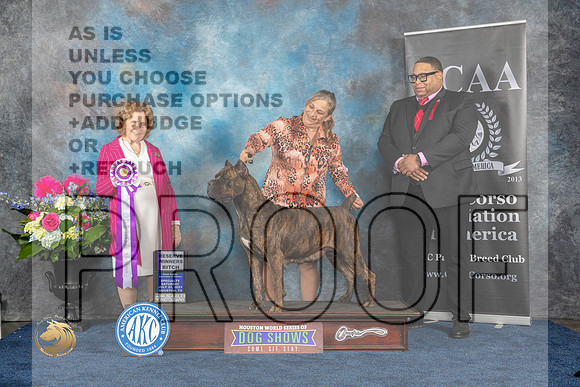 Cane Corso #30 Sat RWB  Judge Donnelle RichardsMJP_6228_HOUSTON_2023_HR3
