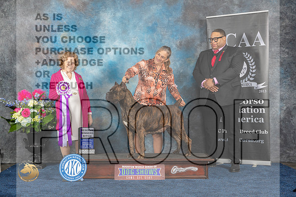 Cane Corso #30 Sat RWB  Judge Donnelle RichardsMJP_6229_HOUSTON_2023_HR3