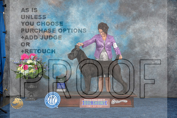 Cane Corso #8 Sat AOM Judge Del RichardsMJP_6487_HOUSTON_2023_HR3