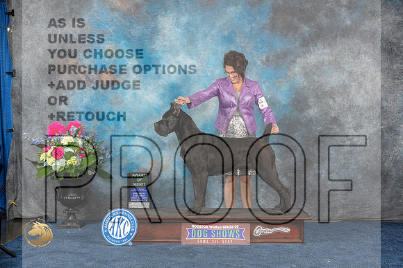Cane Corso #8 Sat AOM Judge Del RichardsMJP_6486_HOUSTON_2023_HR3