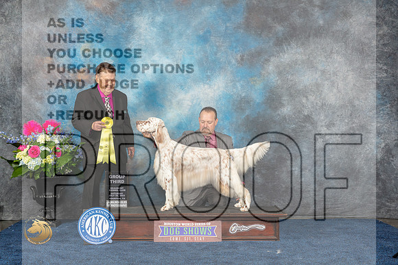 English Setter #22 Sat G3 Judge Del RichardsMJP_6045_HOUSTON_2023_HR3