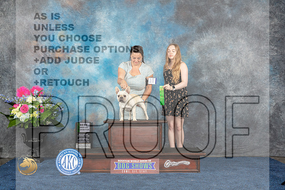 French Bulldog #10 Sat BBE Judge Anne GallantMJP_6007_HOUSTON_2023_HR3