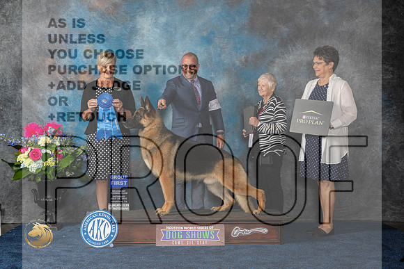 German Shepherd Dog #7 Sat G1 Judge Cheryl PattersonMJP_6268_HOUSTON_2023_HR3