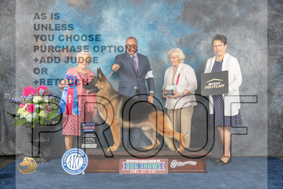 German Shepherd Dog 37 Sat RBIS Judge Lydia HutchinsonMJP_6511_HOUSTON_2023_HR3