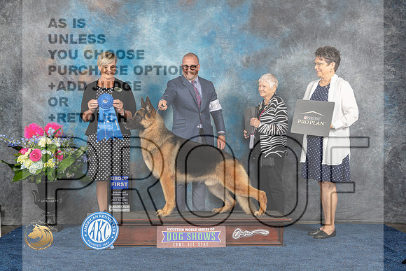 German Shepherd Dog #7 Sat G1 Judge Cheryl PattersonMJP_6269_HOUSTON_2023_HR3