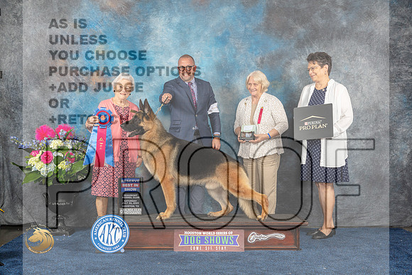 German Shepherd Dog 37 Sat RBIS Judge Lydia HutchinsonMJP_6515_HOUSTON_2023_HR3
