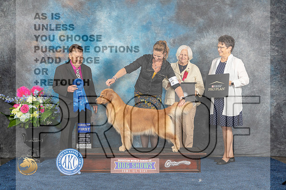 Golden Retriever #14 Sat G1 Judge Del RichardsMJP_6026_HOUSTON_2023_HR3