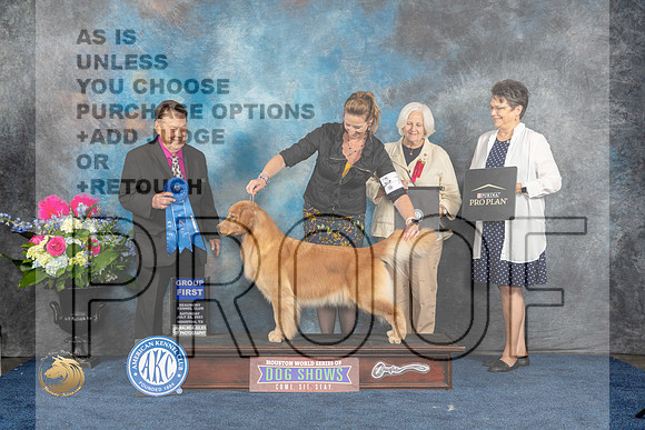 Golden Retriever #14 Sat G1 Judge Del RichardsMJP_6027_HOUSTON_2023_HR3