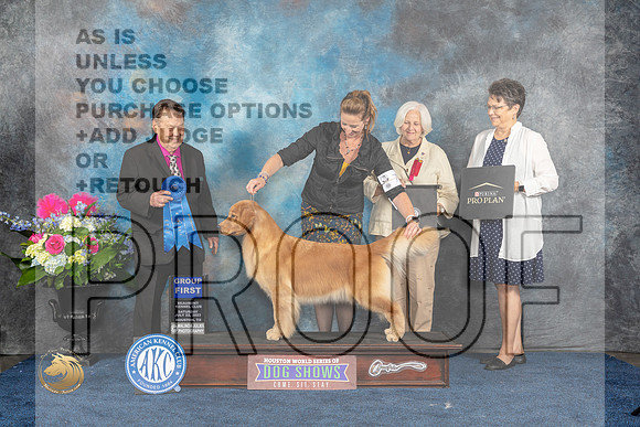 Golden Retriever #14 Sat G1 Judge Del RichardsMJP_6028_HOUSTON_2023_HR3