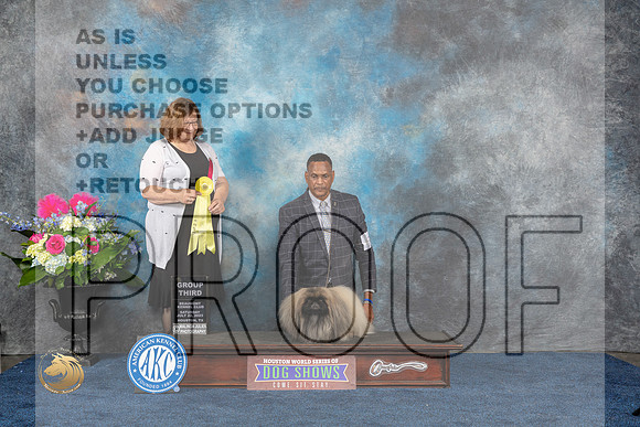 Pekingese #7 Sat G3 Judge Elizabeth MuthardMJP_6162_HOUSTON_2023_HR3
