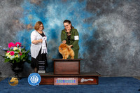 Pomeranian #17 Sat G4 Judge Elizabeth Muthard