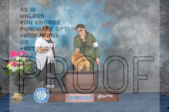 Pomeranian #17 Sat G4 Judge Elizabeth MuthardMJP_6173_HOUSTON_2023_HR3