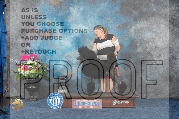 Poodle Std #27 Sat OHG1 Judge Del RichardsMJP_6410_HOUSTON_2023_HR3