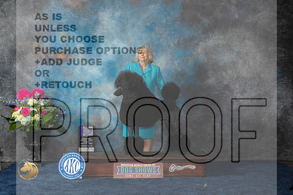Poodle Std #33 Sat WBMCH Judge Anne GallantMJP_6099_HOUSTON_2023_HR3