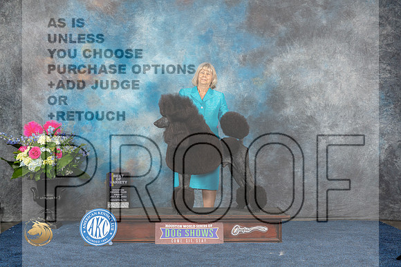 Poodle Std #37 Sat BOV Judge Anne GallantMJP_6090_HOUSTON_2023_HR3