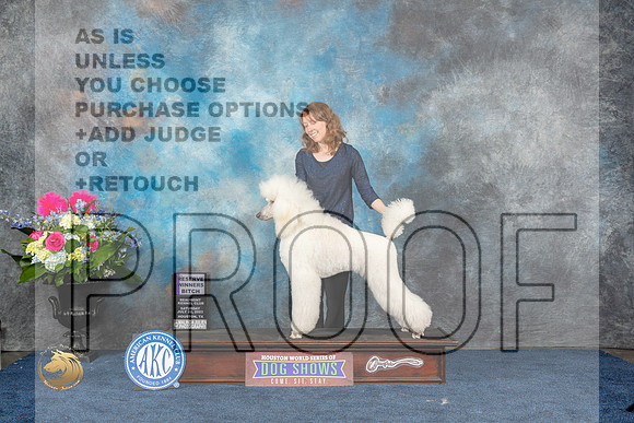 Poodle Std #50 Sat RWB Judge Anne GallantMJP_6068_HOUSTON_2023_HR3