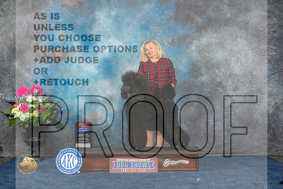 Poodle Std #9 Sat BOWBOS Judge Ann GallantMJP_6071_HOUSTON_2023_HR3