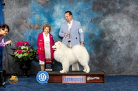 Samoyed #5 Sat G2 Juddge Donnelle Richards