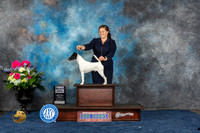 Smooth Fox Terrier #5 Sat SD Judge Elizabeth Muthard