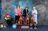 Vizsla #24 Family Judge Charles Olvis